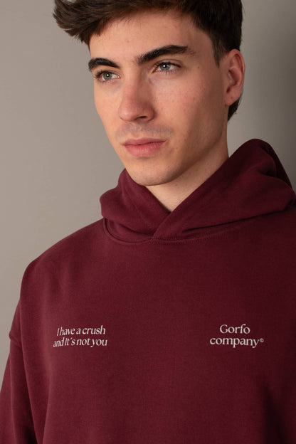 I HAVE A CRUSH HOODIE